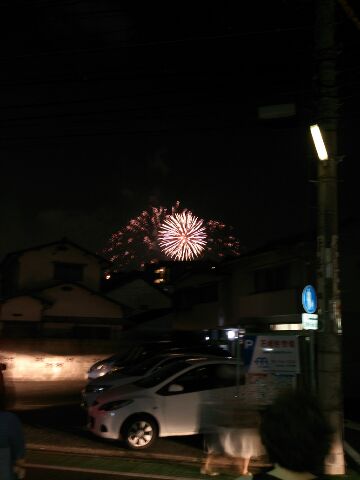 大濠花火大会に行ってきました　　花火がきれいでした